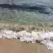 リリィ