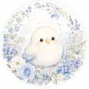 ぴよちゃんの画像