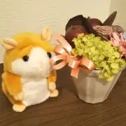 マイルームの画像