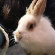 O Mの画像