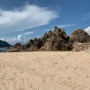 翔