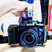 わたいちの画像