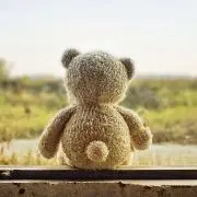 nokkoの画像