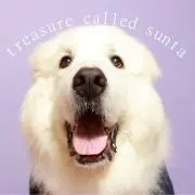 サンタ
