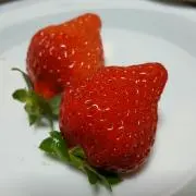 Mayu