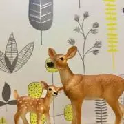 たまこの画像