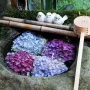 すのーさんの画像