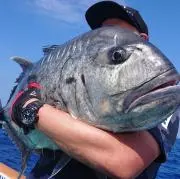 pammyfishpackpackの画像