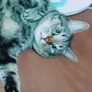 れおの画像