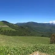 細