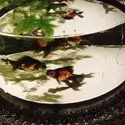 まる☆本人確認未対応