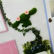 カエルの画像