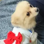 ちーの画像