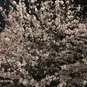 水産
