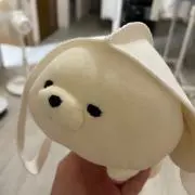 おがわの画像