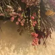 aの画像