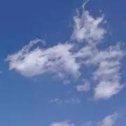 チャンプ