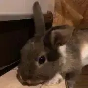 悠