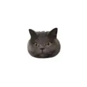 ねこ。の画像