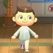 Didpの画像