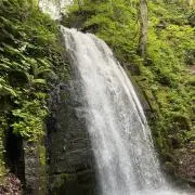 okの画像