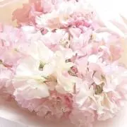 こーたん