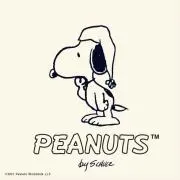Peanutsの画像