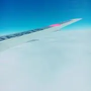 きな子