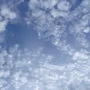 hm⭐︎プロフ必読の画像