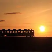 弓っちょの画像