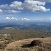 ひかるの画像