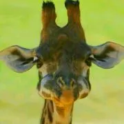 きりん