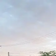 ₍ᐢ‥ᐢ₎の画像