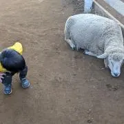 さとみの画像