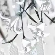 めい お値引します‎໒꒱の画像