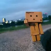 ダンボー