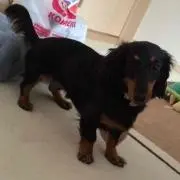 せいぞー
