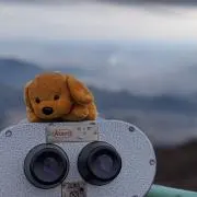 ゆきの画像