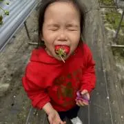 はるはるの画像