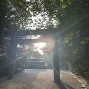 aranaの画像