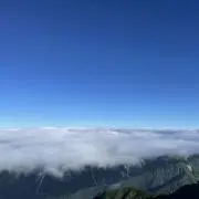 モルカーの画像