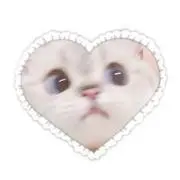白桃　〔プロフ必読〕の画像