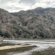 K【プロフ必読】の画像
