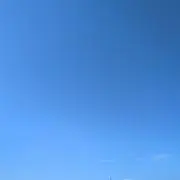 あおの画像