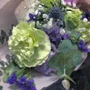 メレンゲの画像
