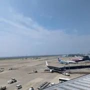 のぶちの画像