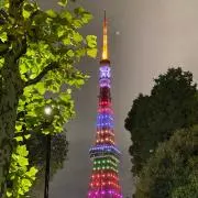 ちいころの画像