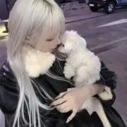 ⭐︎の画像