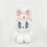 mirの画像