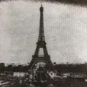 ティッカの画像